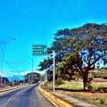 IMAG0124.jpg