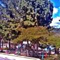 IMAG0184.jpg