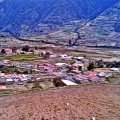 IMAG0424.jpg