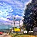 IMAG0641.jpg