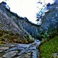 IMAG0700.jpg