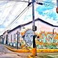 IMAG0821.jpg