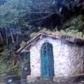 IMAG0894.jpg