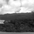 IMAG0366.jpg
