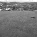 IMAG0376.jpg