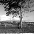 IMAG0381.jpg