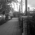 IMAG0392.jpg
