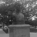 IMAG0395.jpg