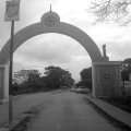 IMAG0409.jpg