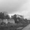 IMAG0431.jpg