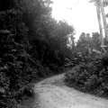 IMAG0438.jpg