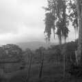 IMAG0439.jpg
