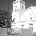IMAG0486.jpg