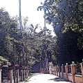 IMAG0514.jpg