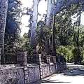 IMAG0520.jpg