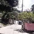 IMAG0525.jpg