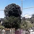 IMAG0532.jpg