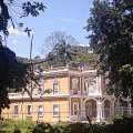 IMAG0534.jpg