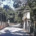 IMAG0535.jpg