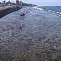 IMAG0543.jpg