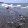 IMAG0550.jpg