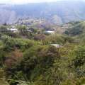 IMAG0654.jpg
