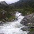 IMAG0684.jpg
