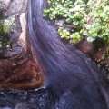 IMAG0688.jpg