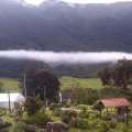IMAG0783.jpg