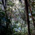 IMAG0996.jpg