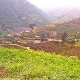 IMAG0168.jpg