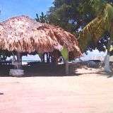 IMAG0073.jpg