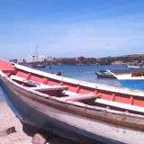 IMAG0097.jpg