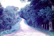 004-DSC_2932.JPG.small.jpeg