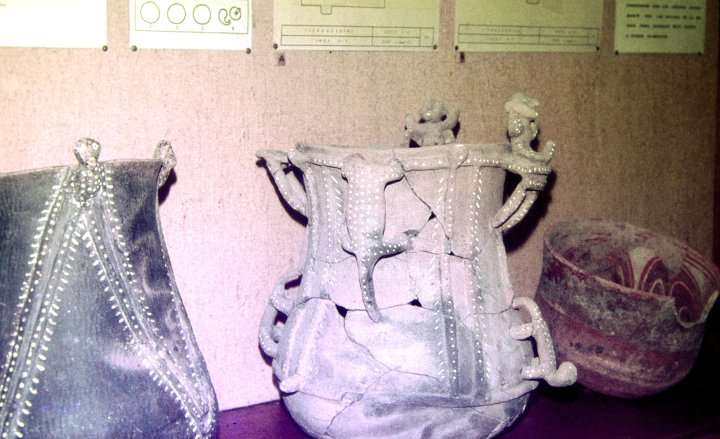 021-DSC_2977.JPG.medium.jpeg