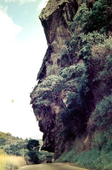 037-DSC_3025.JPG.medium.jpeg