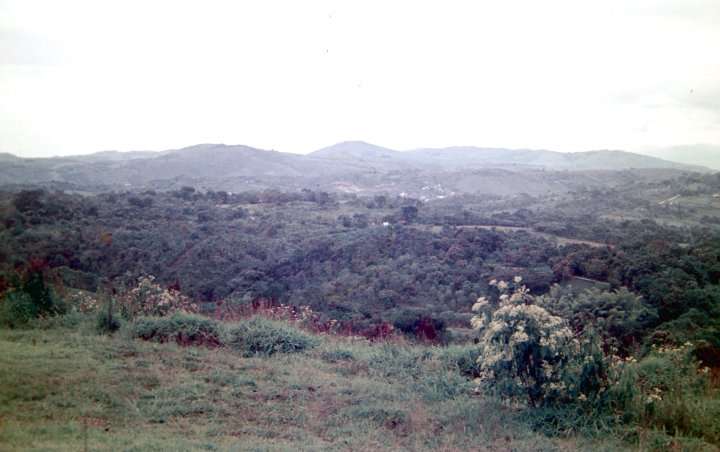 006-ADSC_3266.JPG.medium.jpeg