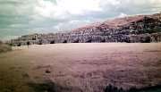 067-CDSC_3210.JPG.small.jpeg