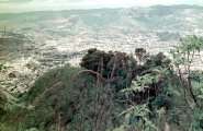 001-DSC_3739.JPG.small.jpeg