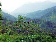 img001.jpeg.small.jpeg