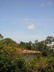 img033.jpeg.small.jpeg
