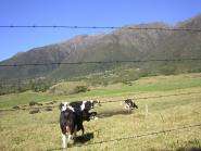 img002.jpeg.small.jpeg