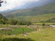 img024.jpeg.small.jpeg