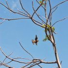 DSC_8350.JPG