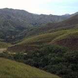 DSC_1229.NEF.jpg