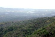 012-DSC_9780.JPG.small.jpeg