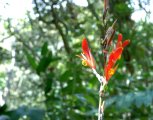 001-DSC_8956.JPG.small.jpeg
