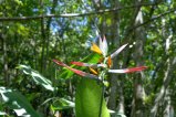 002-DSC_8958.JPG.small.jpeg