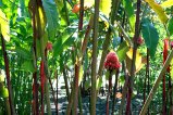 004-DSC_8963.JPG.small.jpeg