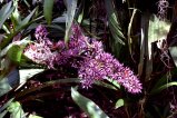 008-DSC_8970.JPG.small.jpeg